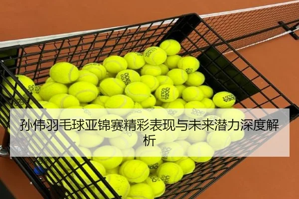 孙伟羽毛球亚锦赛精彩表现与未来潜力深度解析 | 9 GAME SPORTS